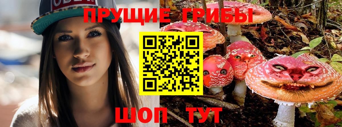 Асино  Псилоцибиновые грибы мицелий  Галлюциногенные грибы MAGIC MUSHROOMS  Вход с VPN 